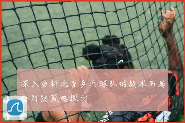 深入分析北京乒乓球队的战术布局与盯防策略探讨