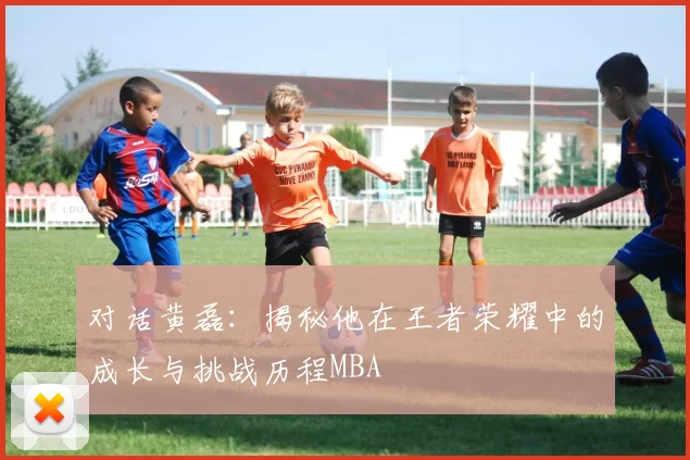 对话黄磊：揭秘他在王者荣耀中的成长与挑战历程MBA