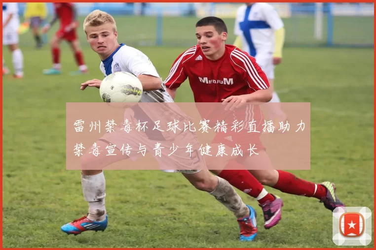 雷州禁毒杯足球比赛精彩直播助力禁毒宣传与青少年健康成长