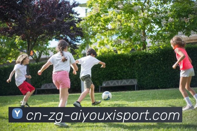 爱游戏品牌故事