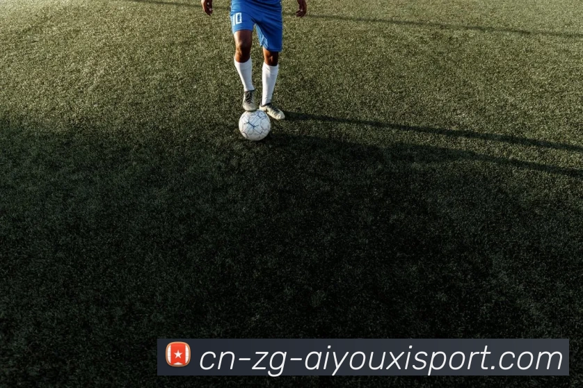 多媒体互动体验